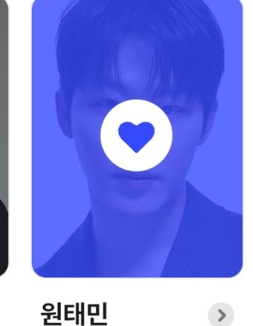 필수 tweet media