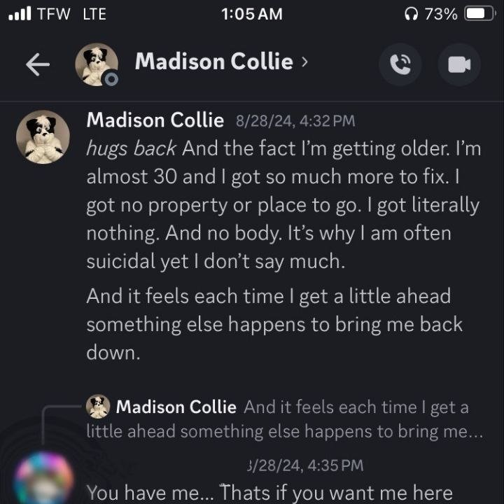 The Madison files tweet media