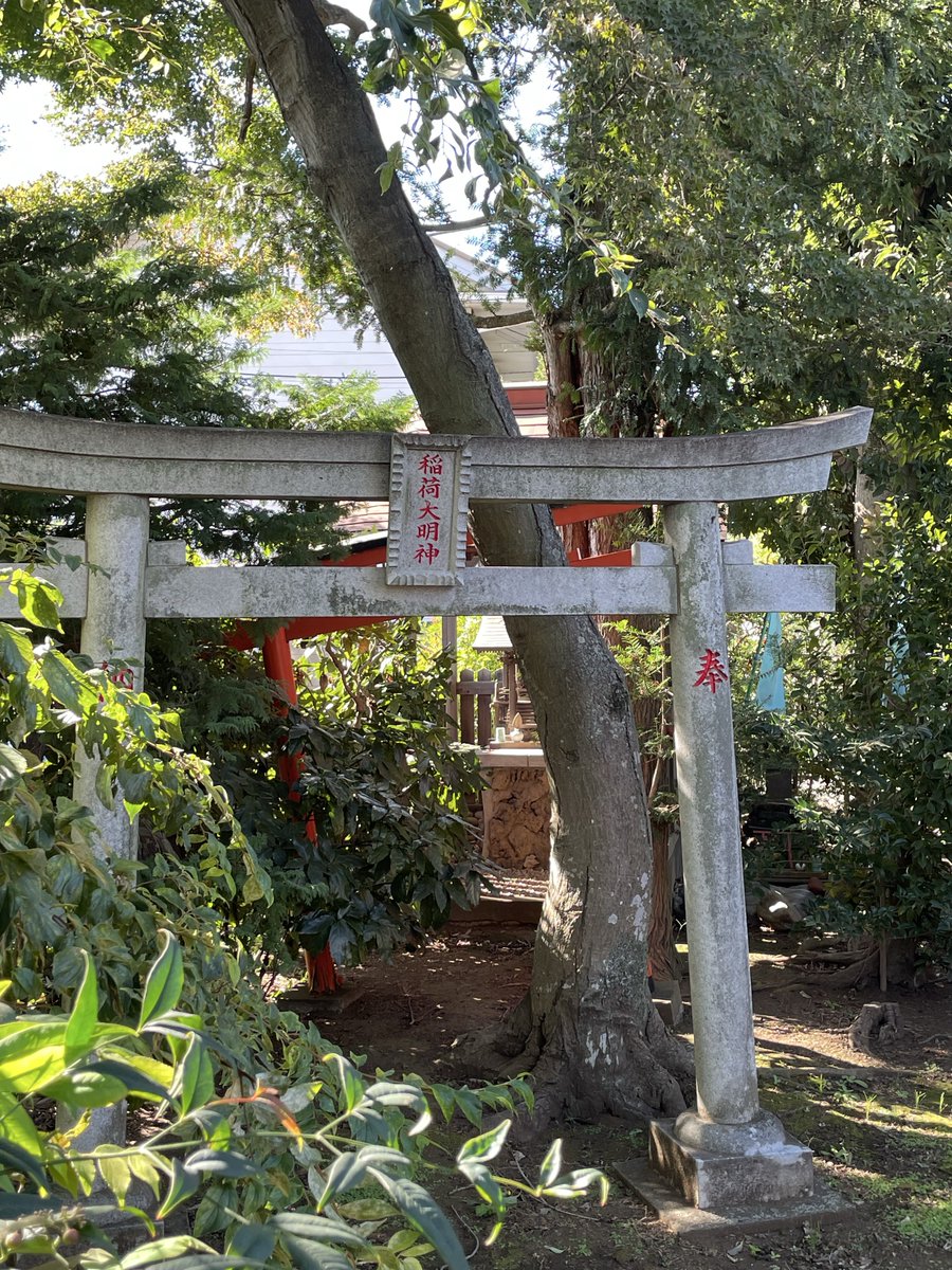 ぢる tweet media