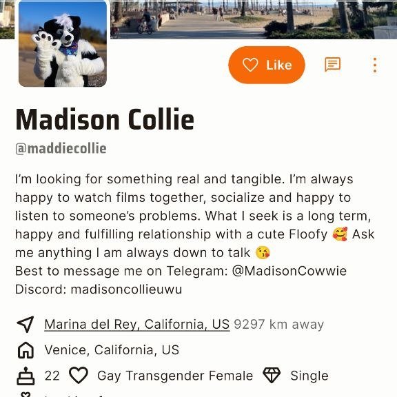 The Madison files tweet media