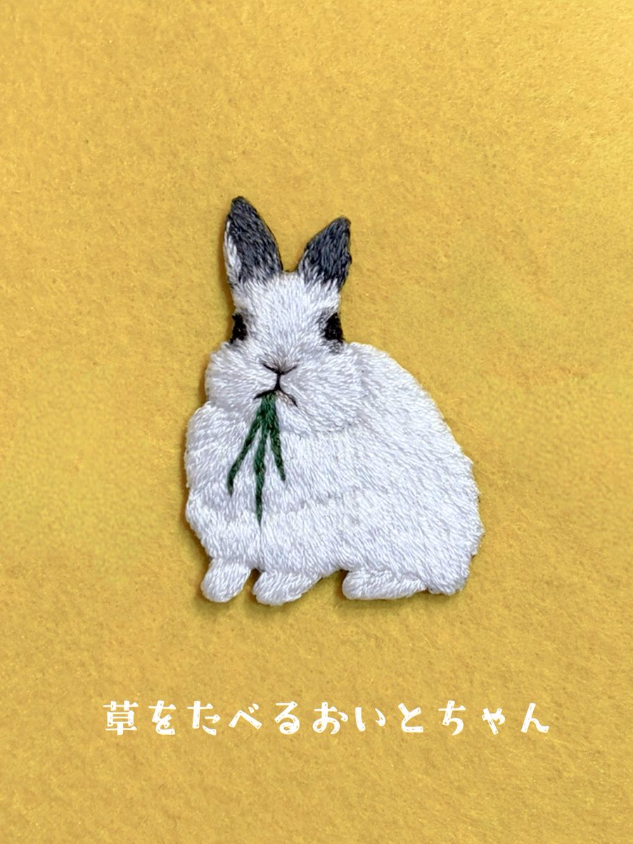 チロチョン tweet media