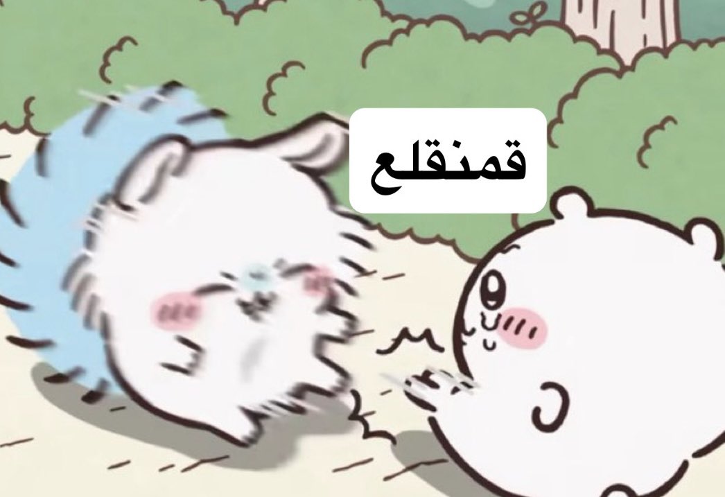 ر🪲ر tweet media