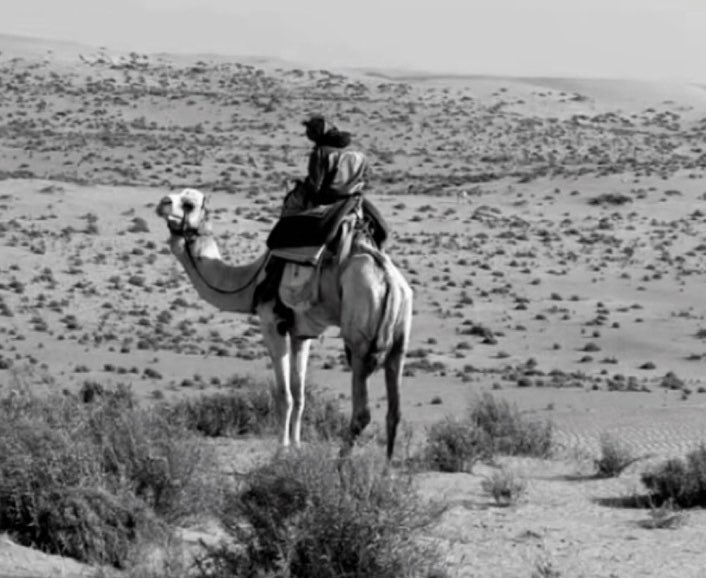 ‏᷂عسر٨٨ tweet media