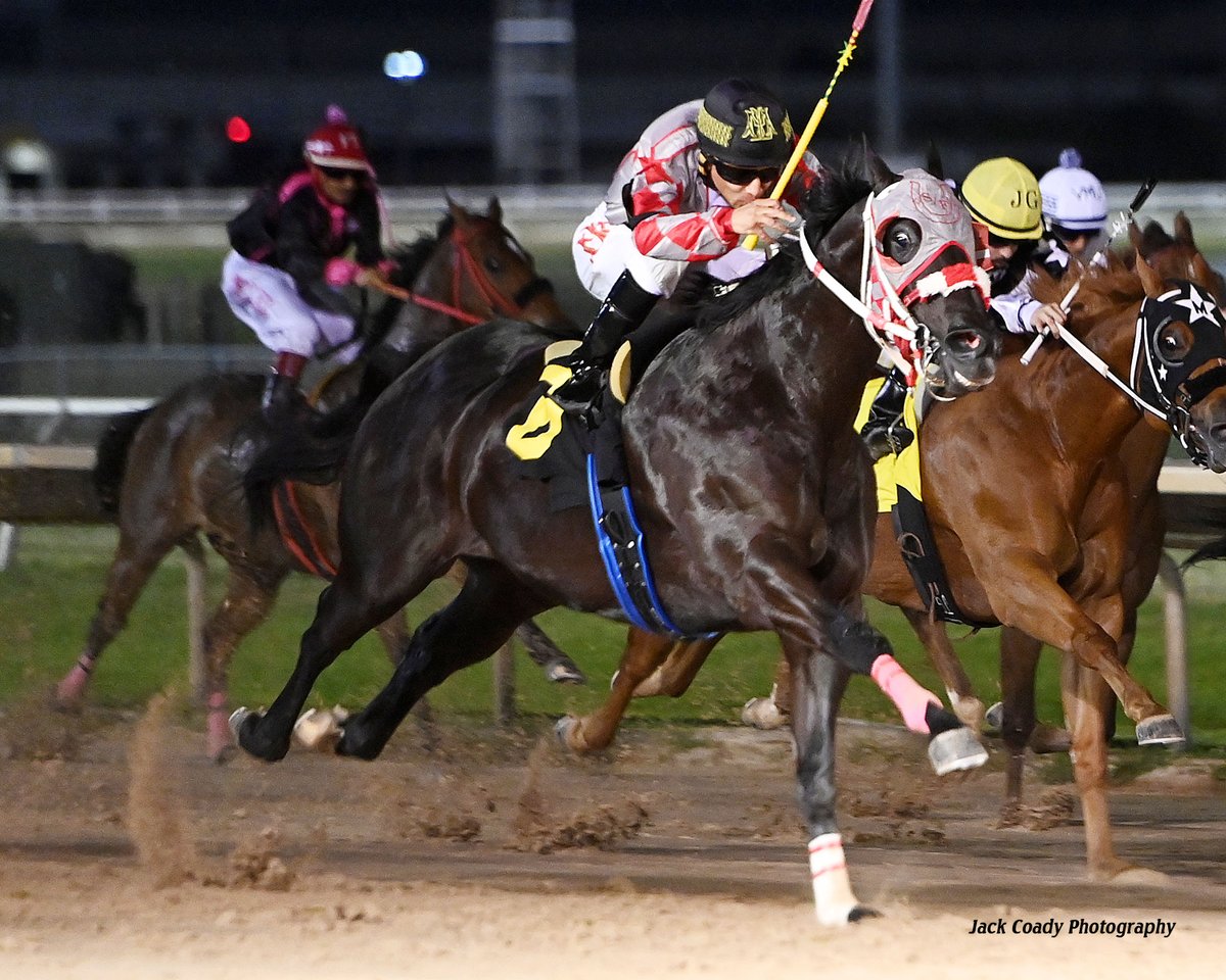 Sam Houston Race Park tweet media