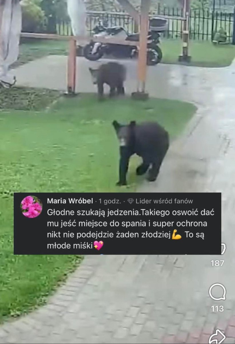 Paula Poreda tweet media