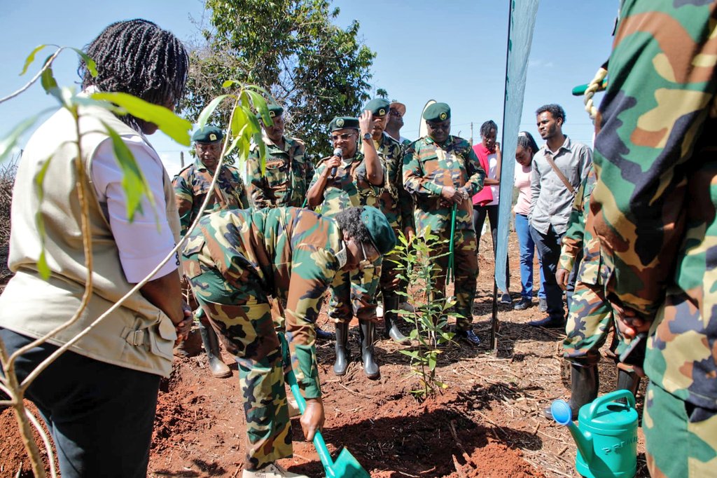 Kenya Forest Service tweet media