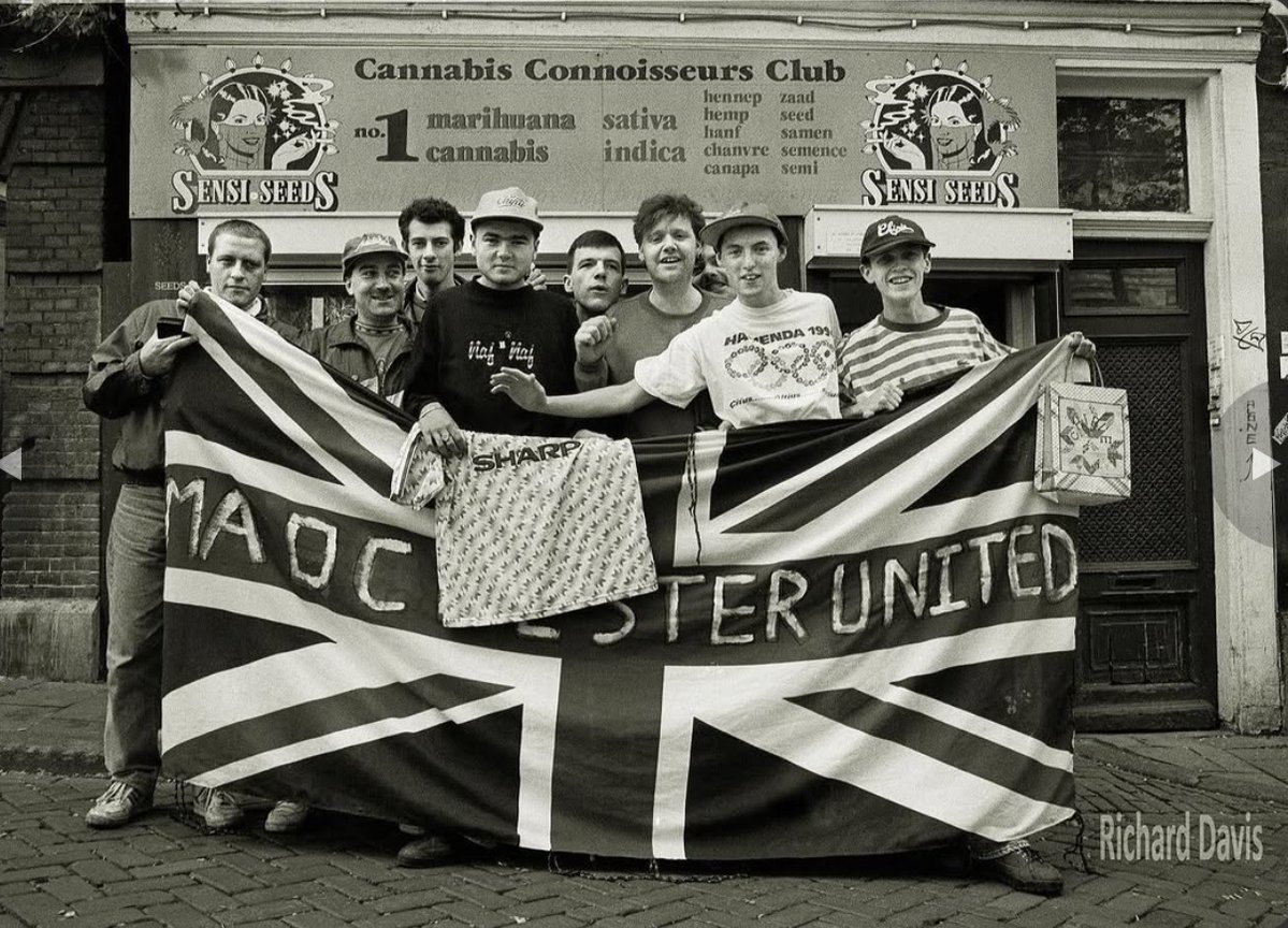 The Casuals Directory tweet media