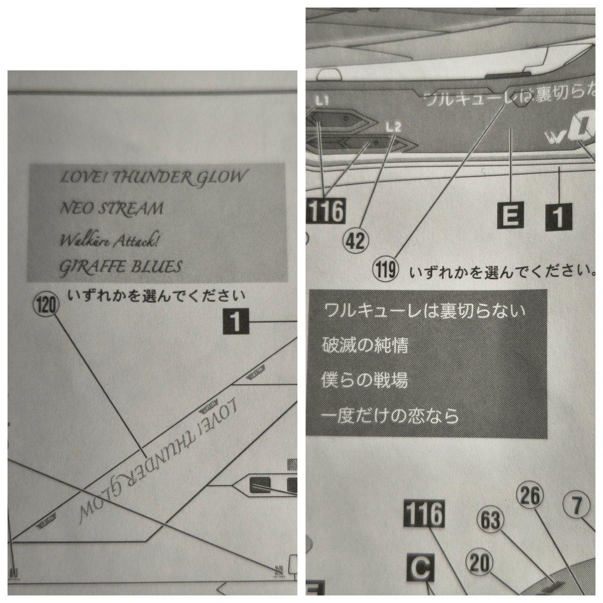 こたつ猫 tweet media