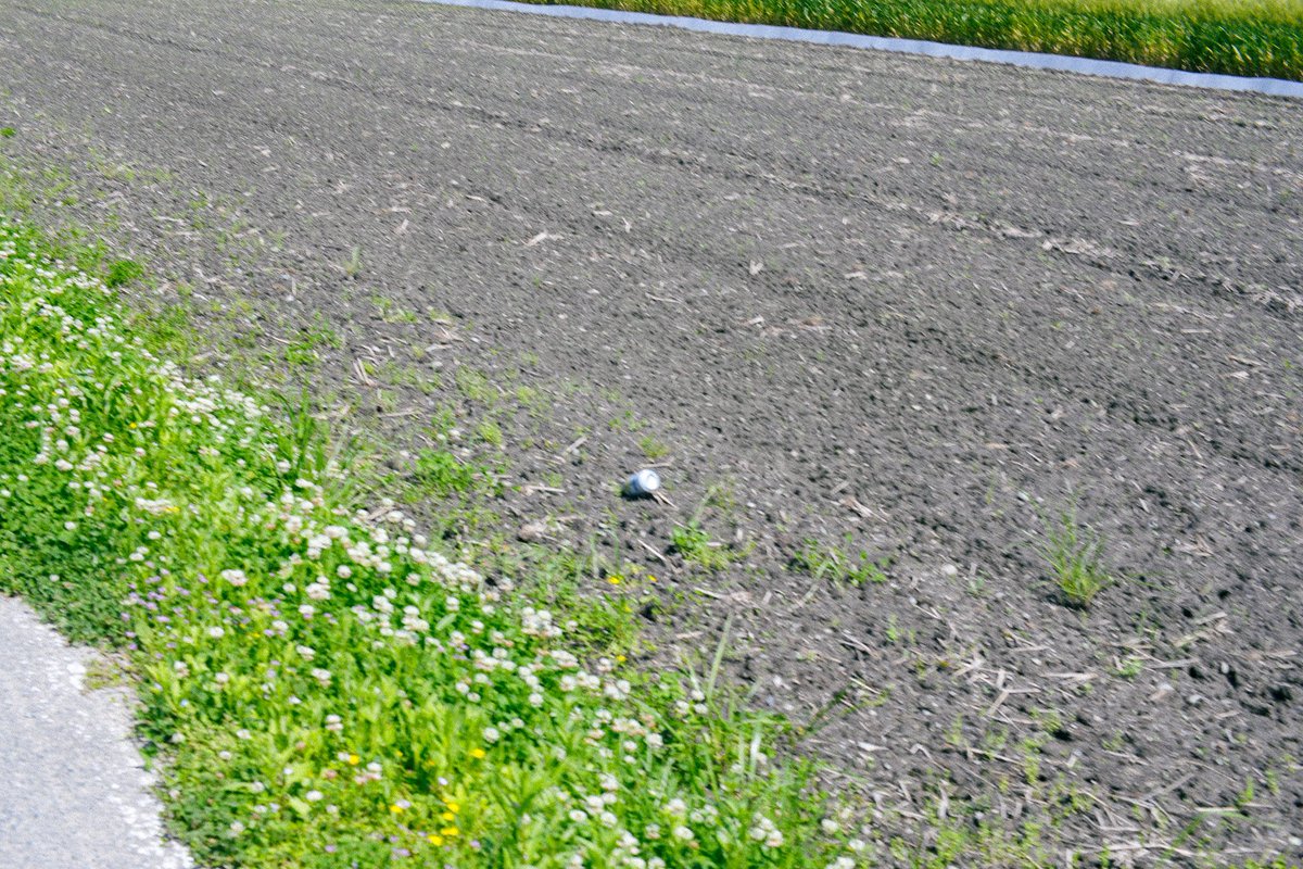 bokunarinosekai's tweet photo. 田舎の風景
懐かしく、居心地のいい風景
麦畑の眺めは、ナウシカを思わせる
余暇は田舎で過ごしたい https://t.co/sowxhvkv5k