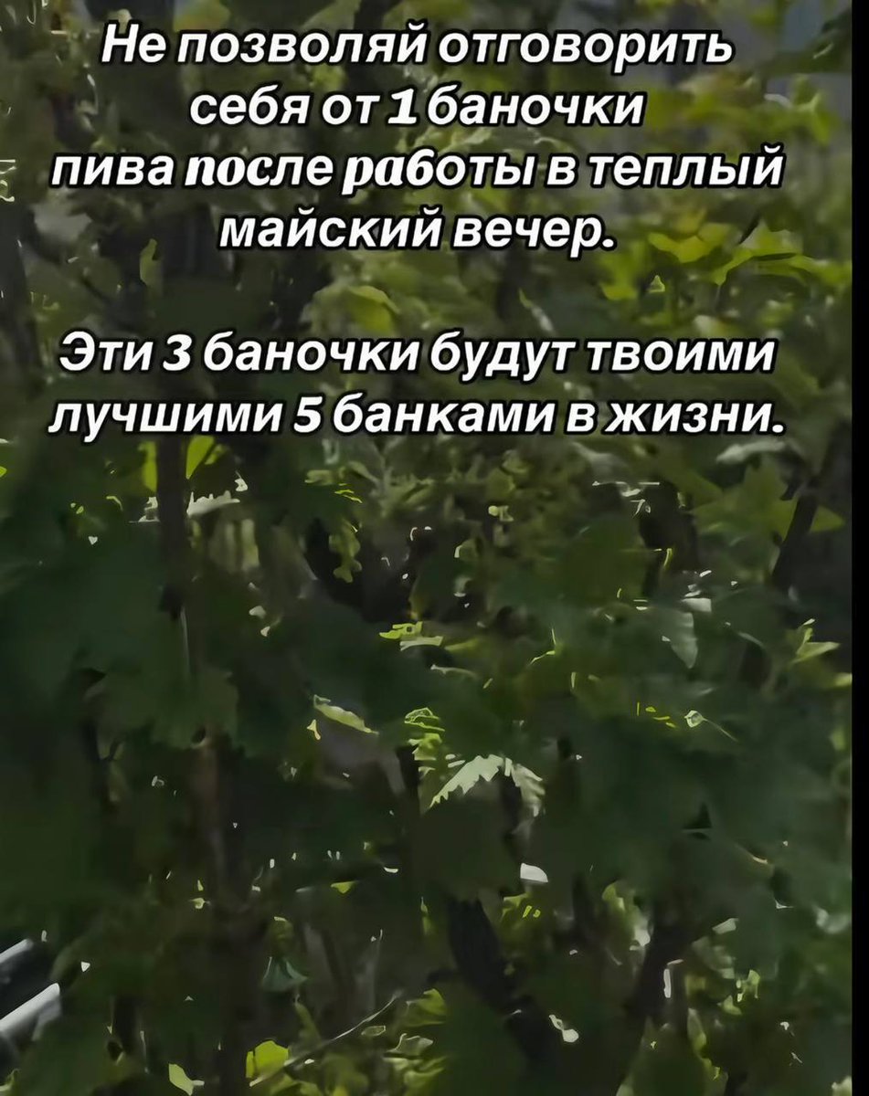 Пьяный Твиттер tweet media
