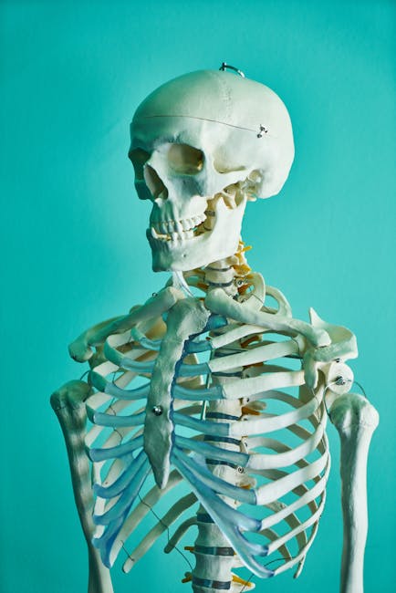 Traci Simon tweet media