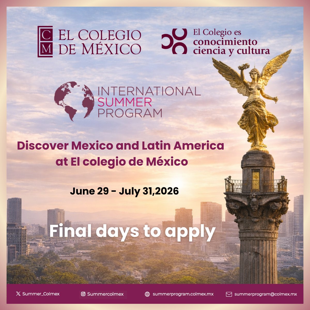 International Summer Program Colmex tweet media