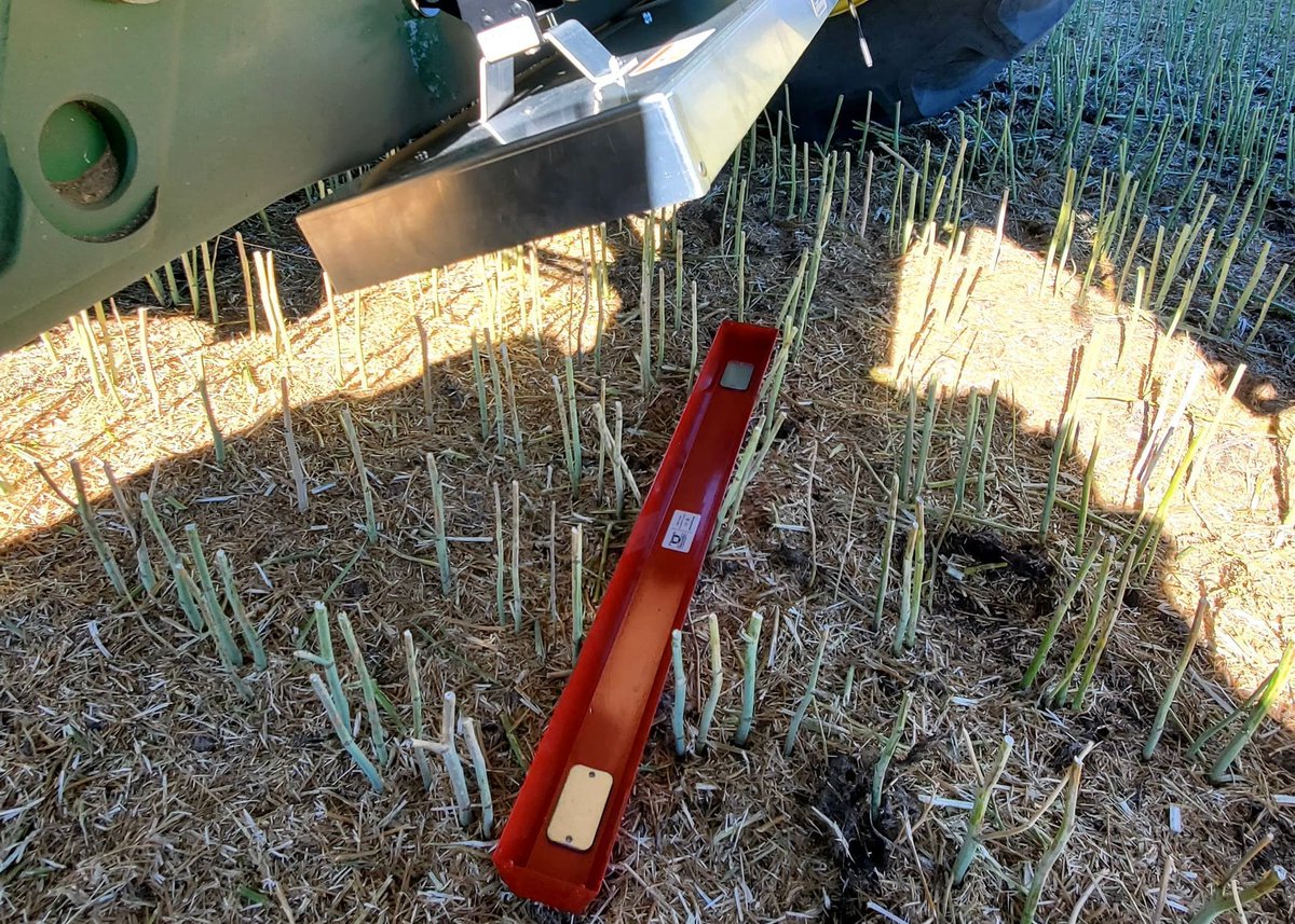 Bushel Plus 🌾 tweet media
