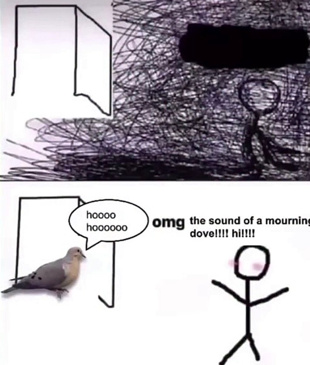 Sparrow tweet media