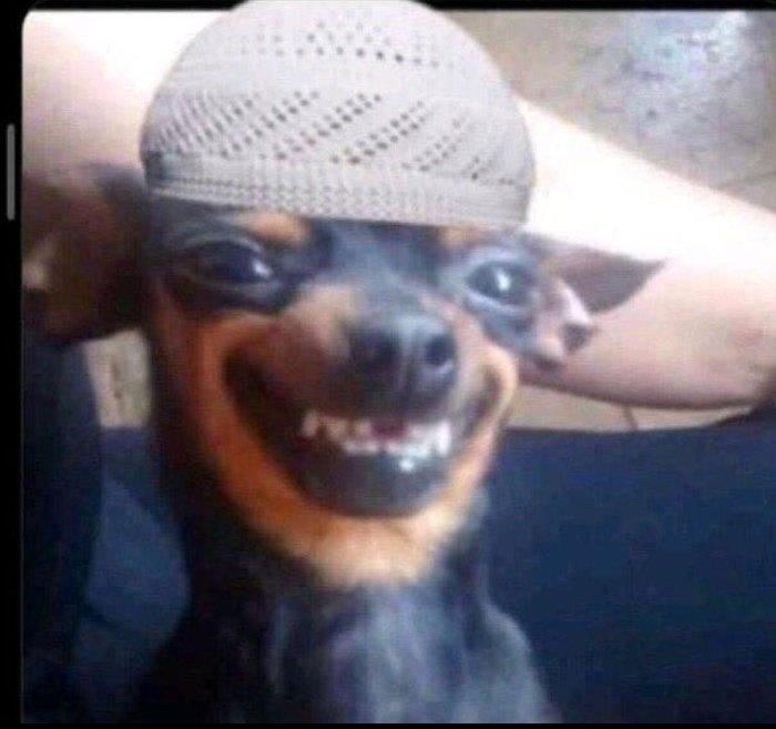 Crouch Ug tweet media