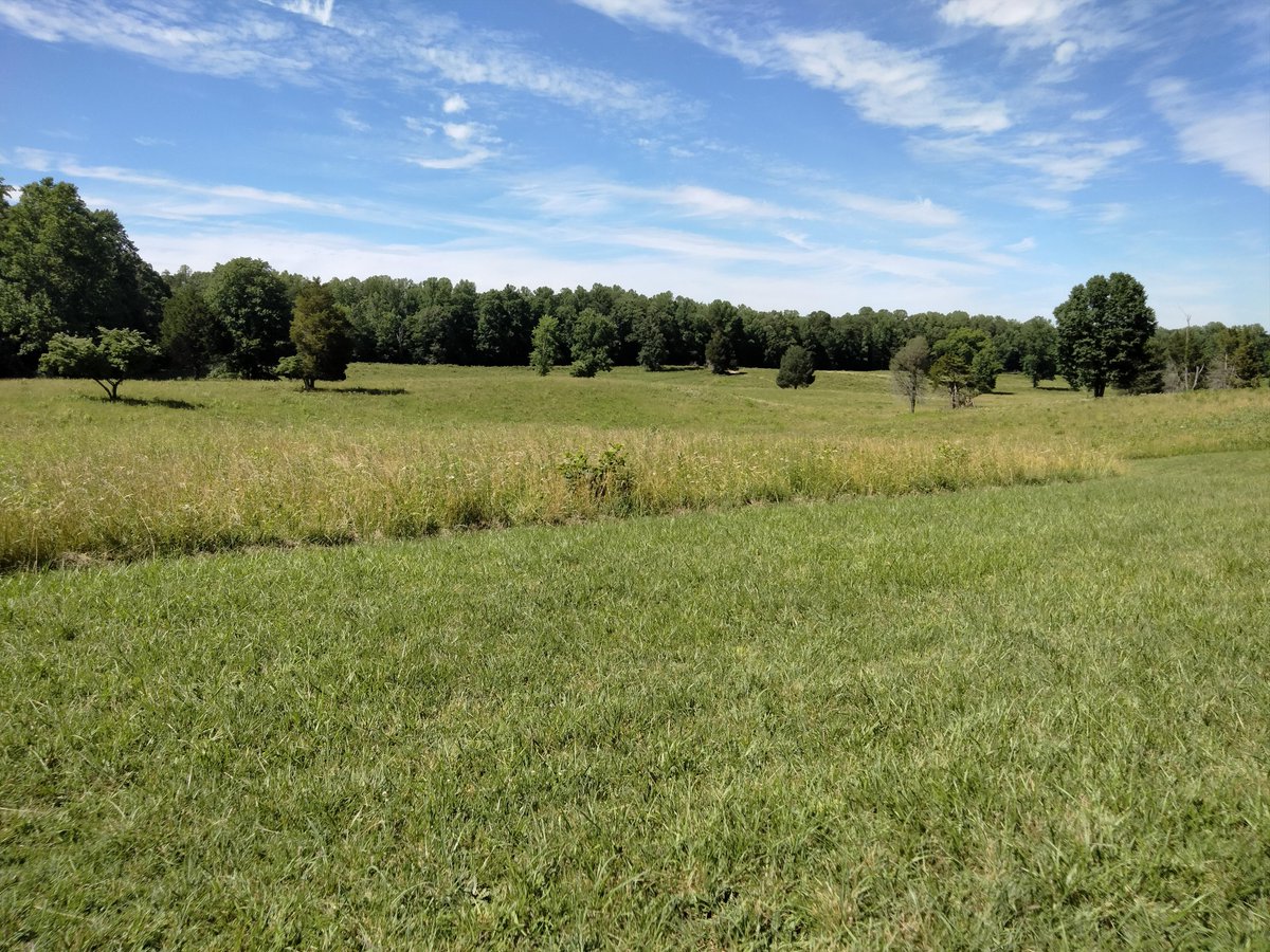 Central Virginia Battlefields Trust tweet media