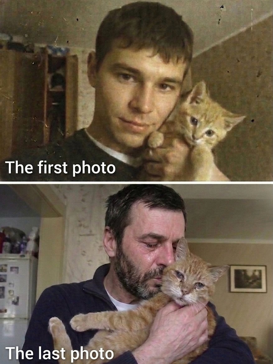 We don't deserve cats 😺 tweet media
