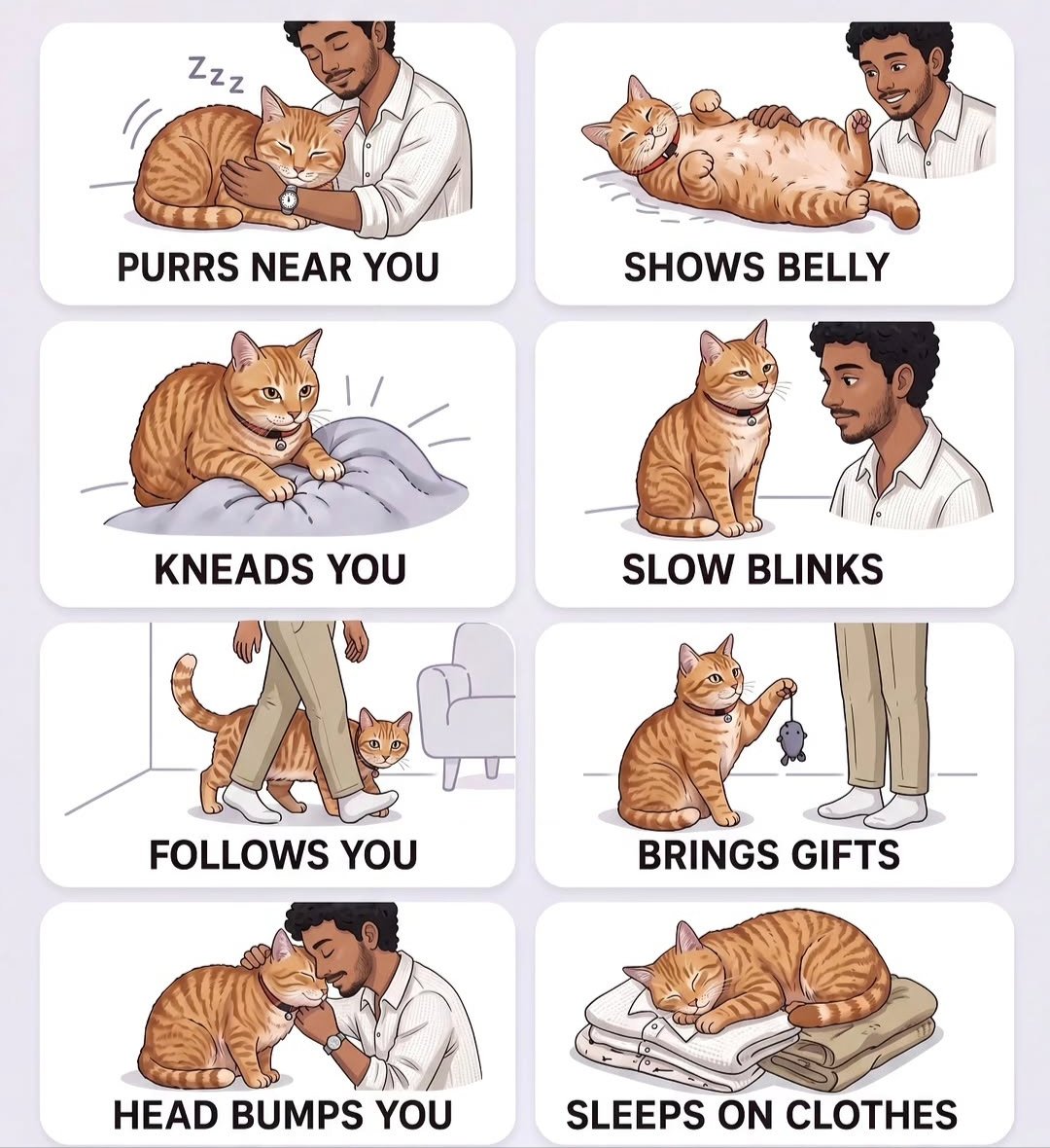 We don't deserve cats 😺 tweet media