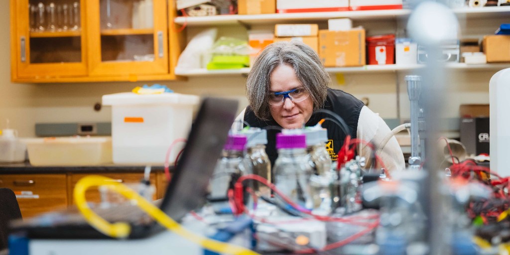 michigantech's tweet photo. Michigan Tech’s Amy Marcarelli is the principal investigator on @DARPA BLUE, a program developing a self-refueling power supply system that could capture and convert microscopic forms of marine biomass into electrical power. 

Dive into the biology, engineering, research, and data science that could revolutionize marine sensor deployment: https://t.co/sXSQiGlctW

@mtu_csa