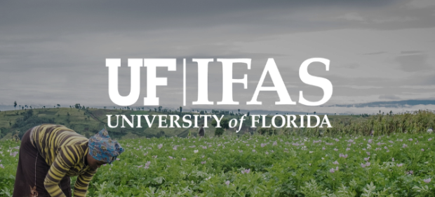 University of Florida International Center tweet media