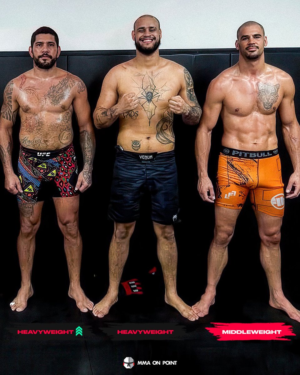 MMA On Point tweet media