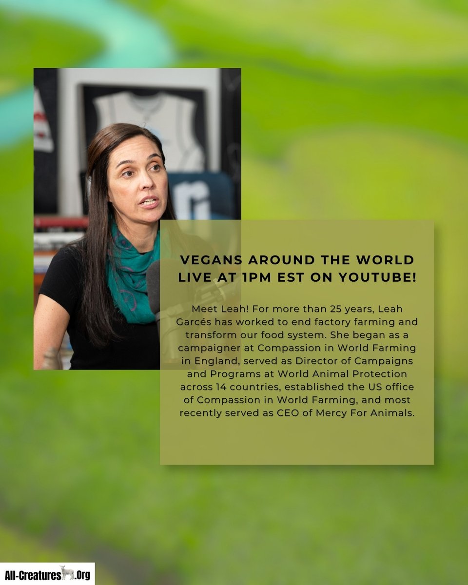 AllCreaturesDotOrg tweet media