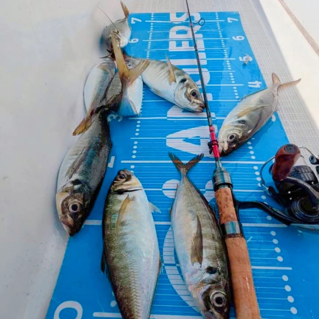 Fish Hook / Fishing & Outdoor Gear tweet media
