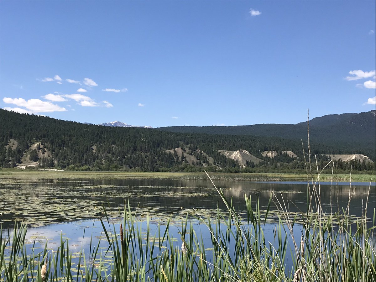 Environment Canada tweet media
