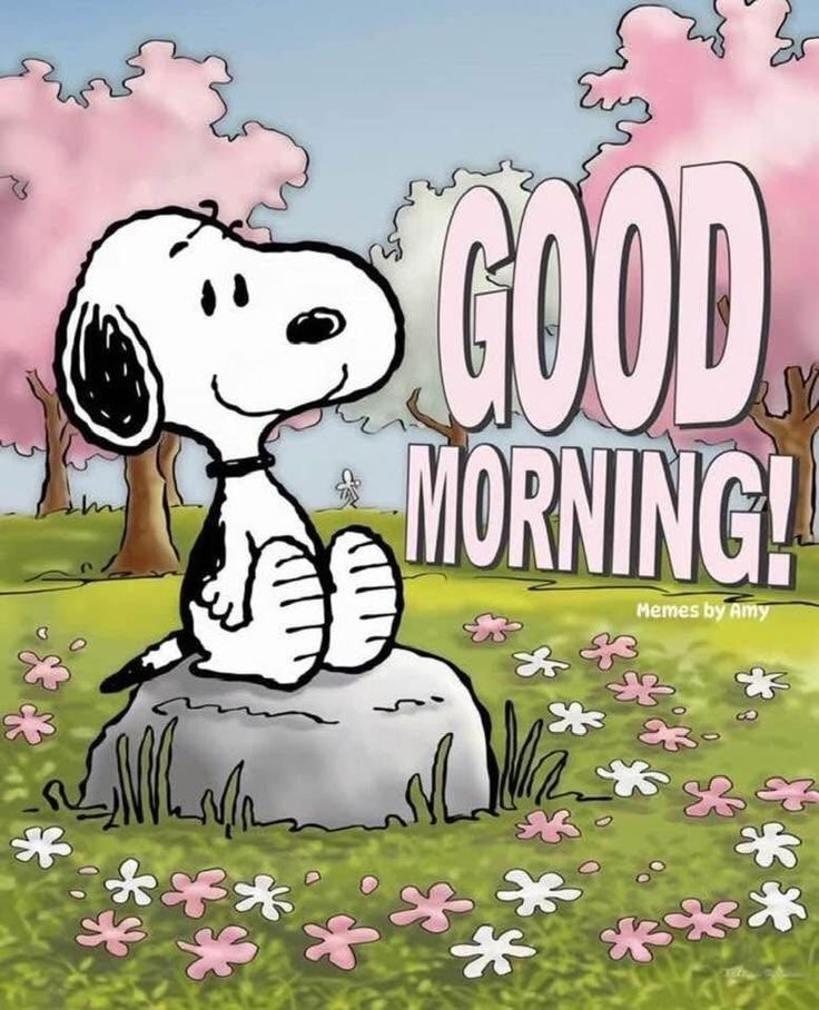 Snoopy 🐾 tweet media