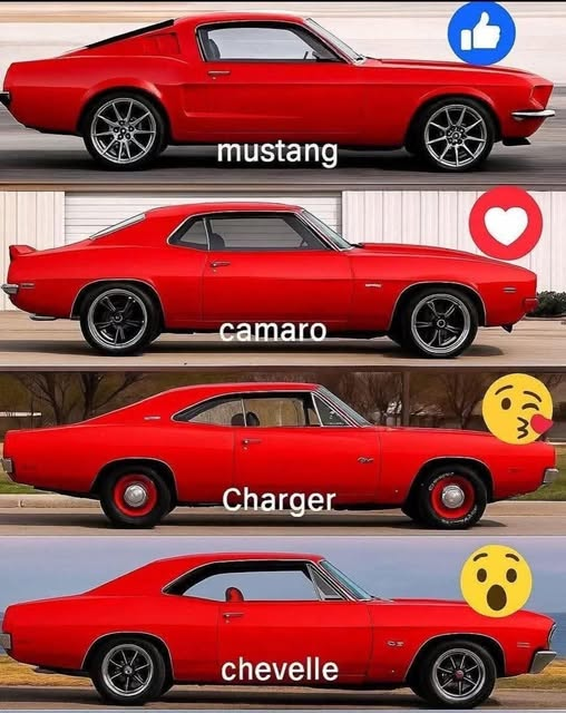 StephanieHeavin's tweet photo. Mustang😍

#vehicledrugs #classicmuscle #americanmuscle #musclecars #v8power  #chevycamaro  #chargerrt #classiccars #oldschoolmuscle #carculture #horsepower #usa https://t.co/OVvuMOaXuZ