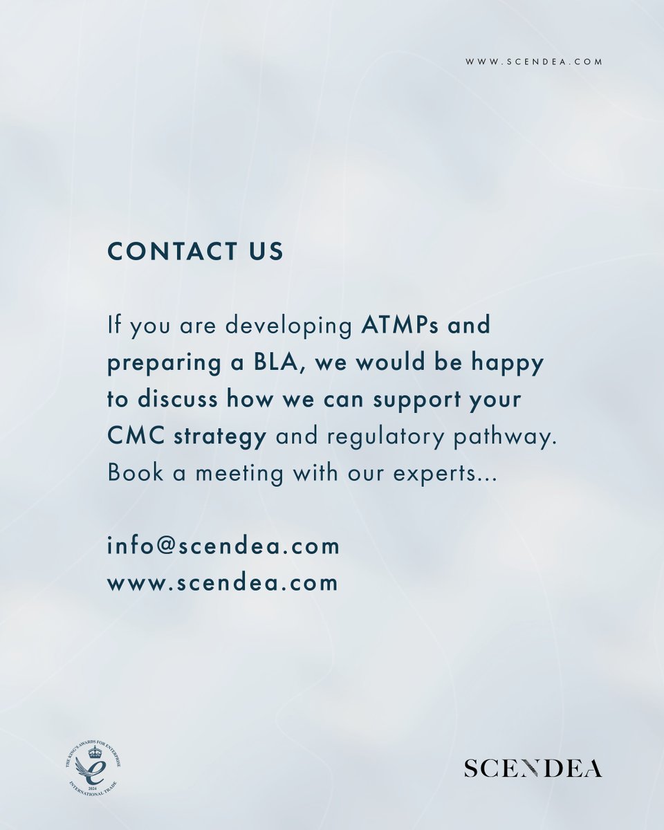 Scendea tweet media