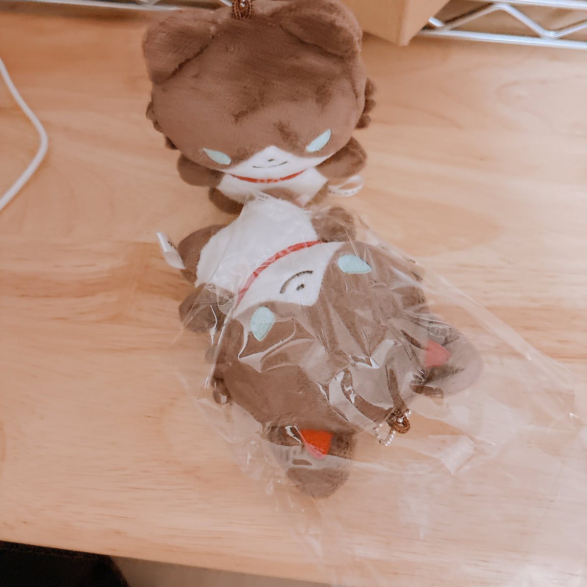 いらっしゃいまし✨️ 「ぷぃ！！」「にゃっ」
