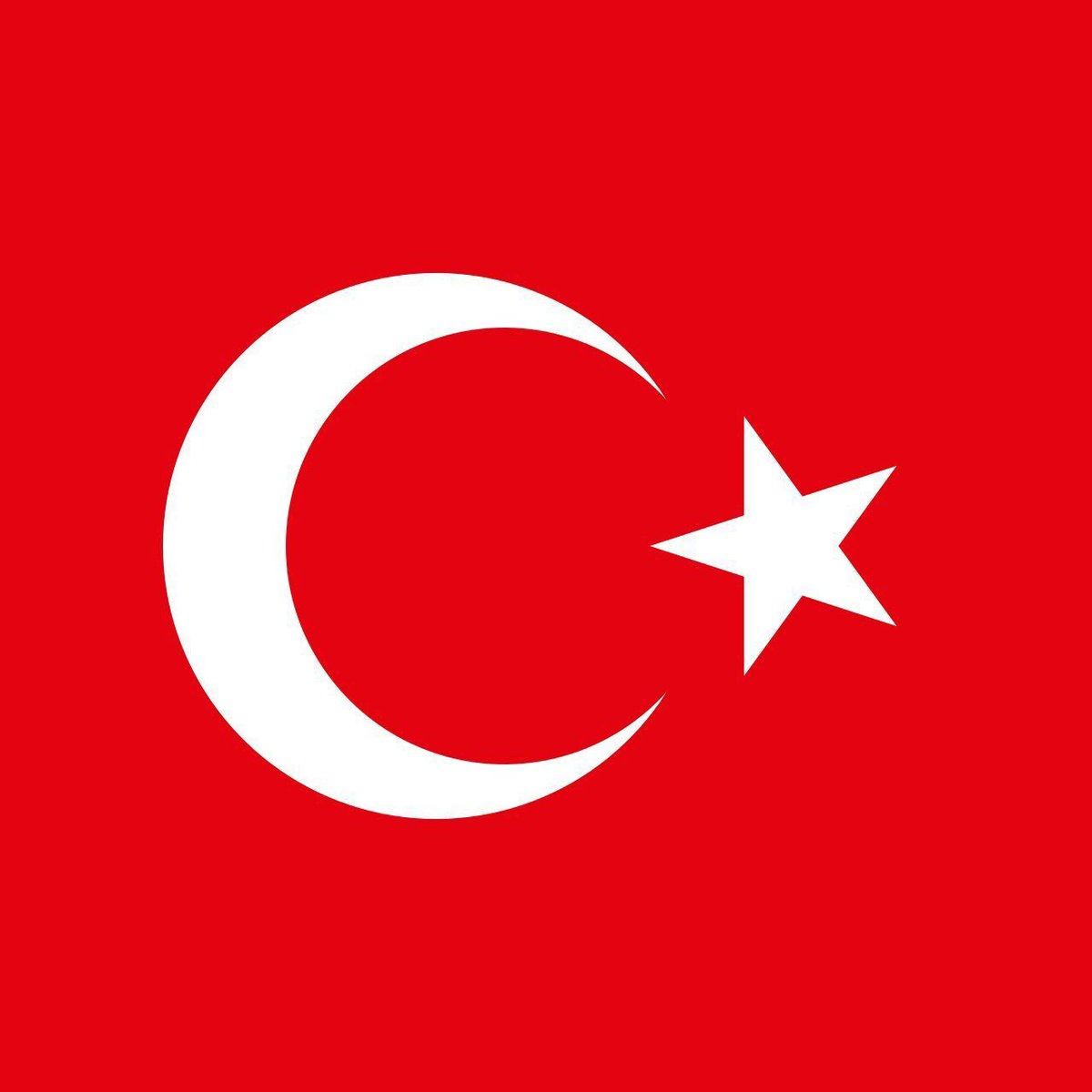 Turk Scout tweet media