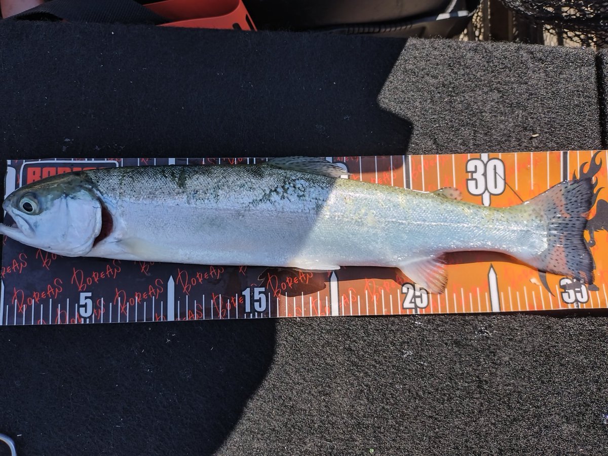 気分転換で神流湖へ🎣 前橋天川大島で勤務していた時に以来だから約2年