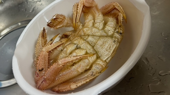 meme_hataraku's tweet photo. 今日の夕食。写真の周りが汚くて切り取ったらなんとも微妙な写真になった。100均の帰りのスーパーで毛蟹が半額600円だったから買ったよ。今締めてるところ。これからあと30分茹でるよ。明日も仕分けのバイト入ってるけど睡眠時間こんなに削って起きられるか不安、、 https://t.co/nm9HLrVDv6