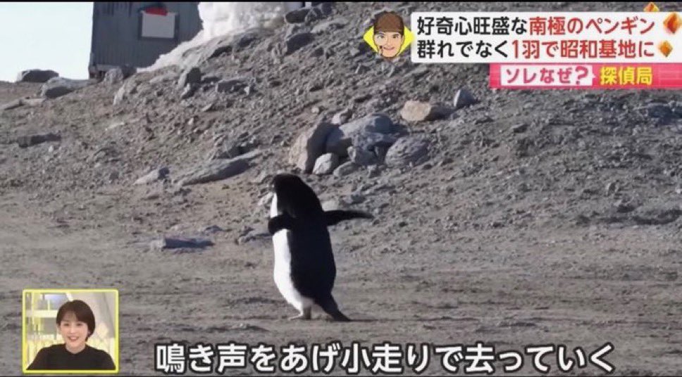 saioisiiyo's tweet photo. @bozu_108 https://t.co/iGYpvKrD0F