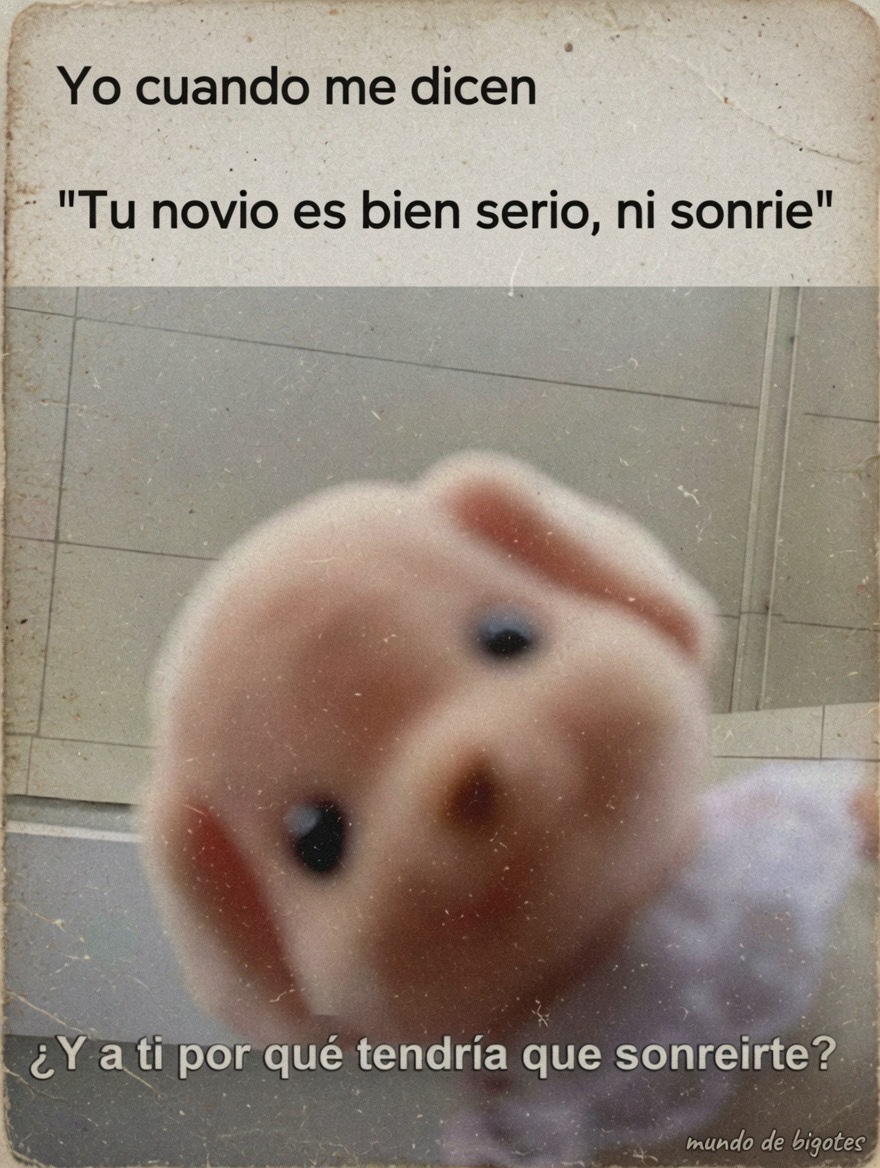 MundoDeBigotes's tweet photo. https://t.co/nJRurQetzc