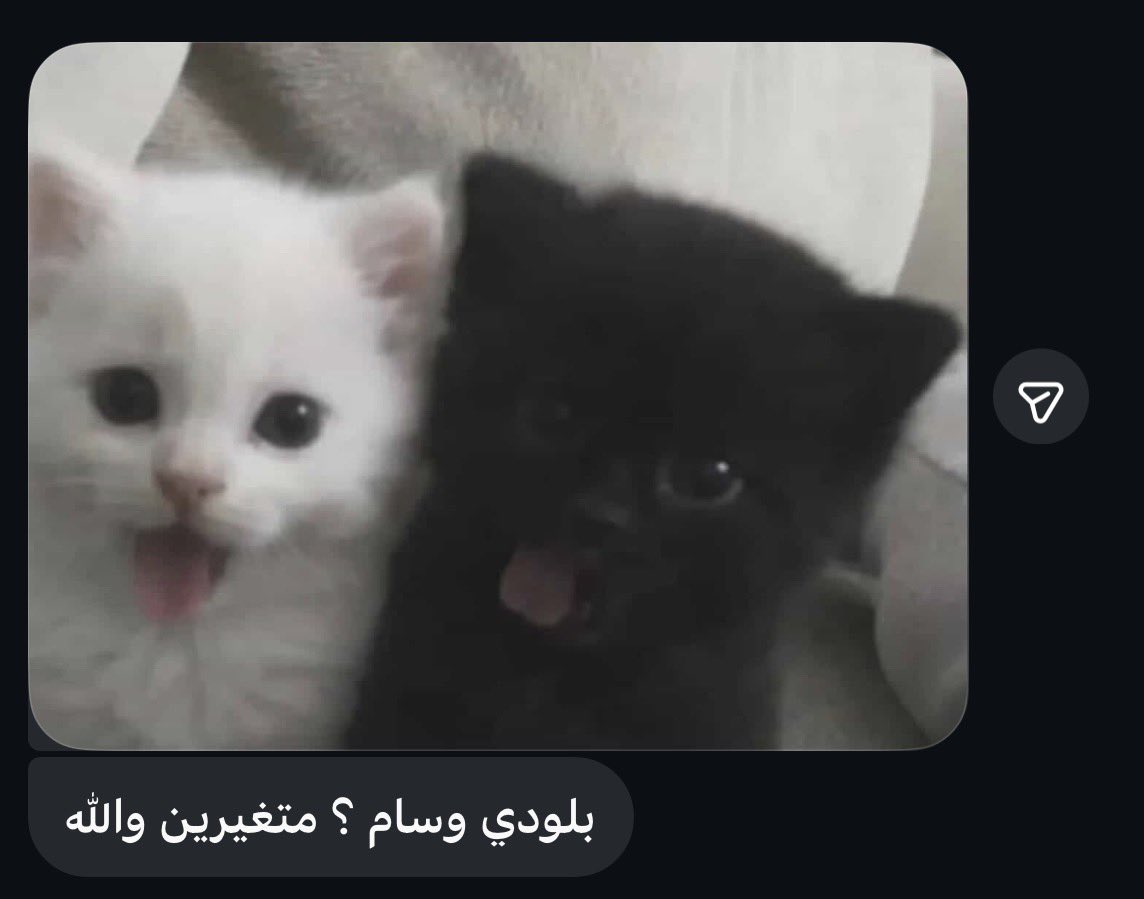 َ tweet media