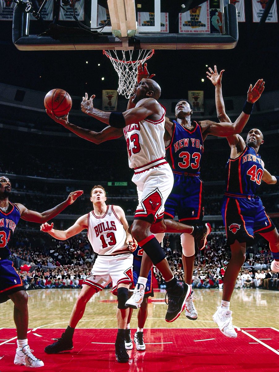 JordanMuse tweet media