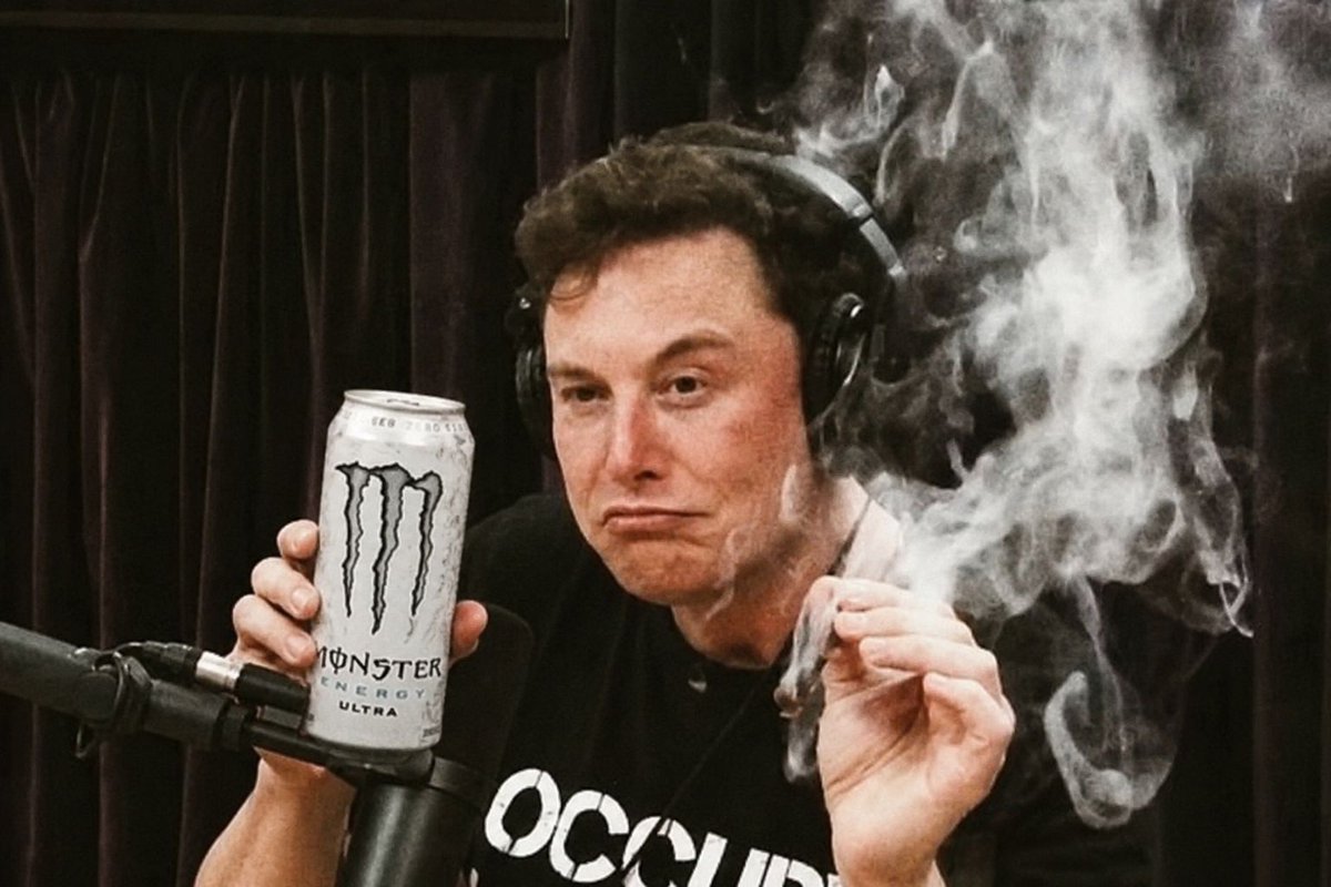 sumfattytuna tweet media