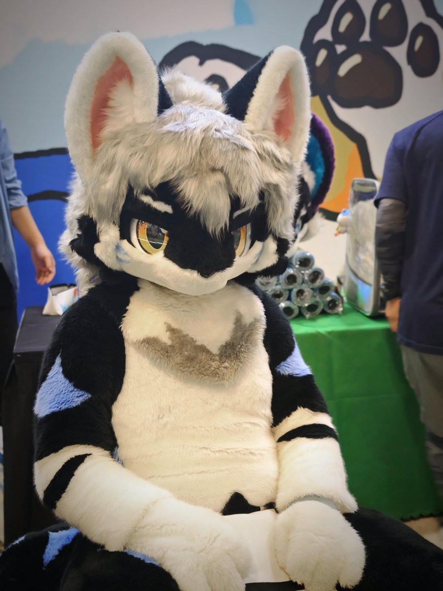 银碳Gintan (@FurryGintan) / Posts and Replies / X