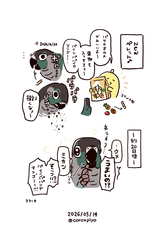 toichi tweet media