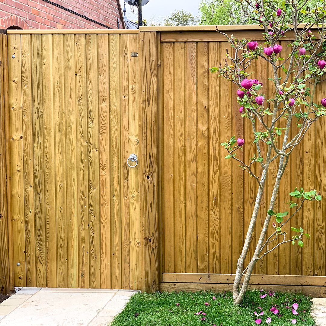 Jacksonsfencing's tweet photo. Featuring our double pergola walkway, Vertical Tongue and Groove Effect panels with a matching gate for privacy, and our Venetian panels as screens to divide the space while keeping it open and light. 

Our Tongue and Groove panels: https://t.co/tkEIj3RMgs
