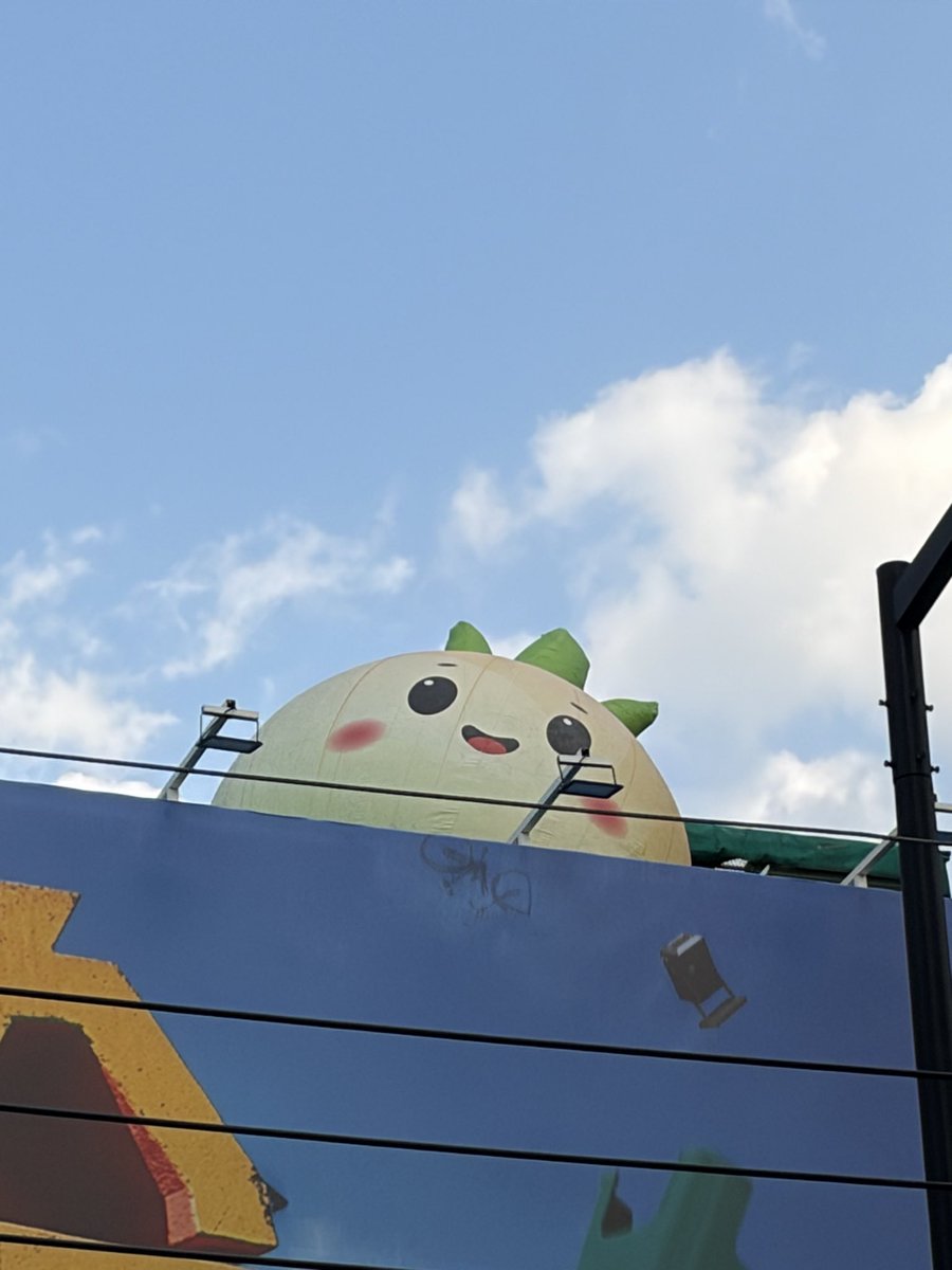 빛나나 tweet media
