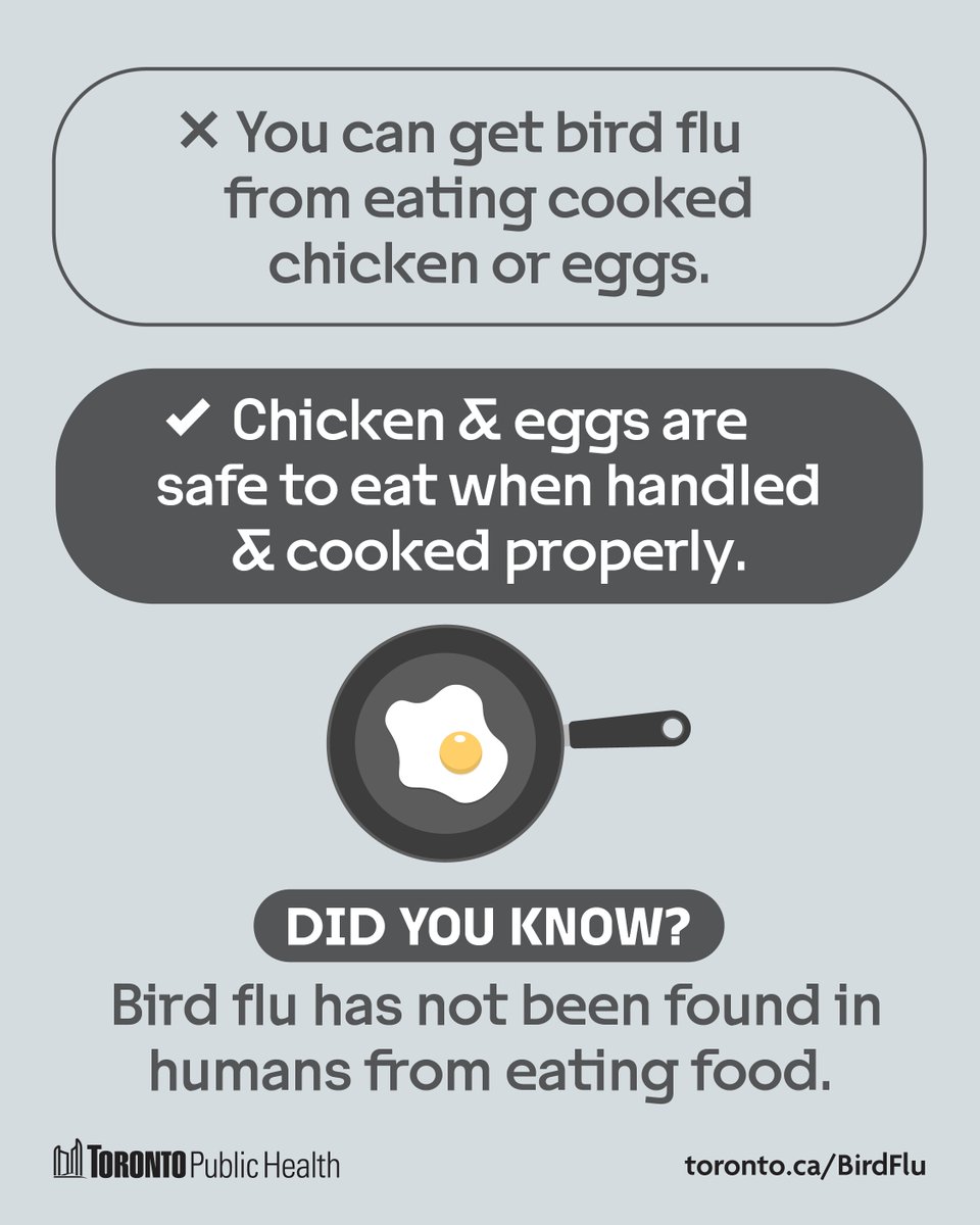 Toronto Public Health tweet media