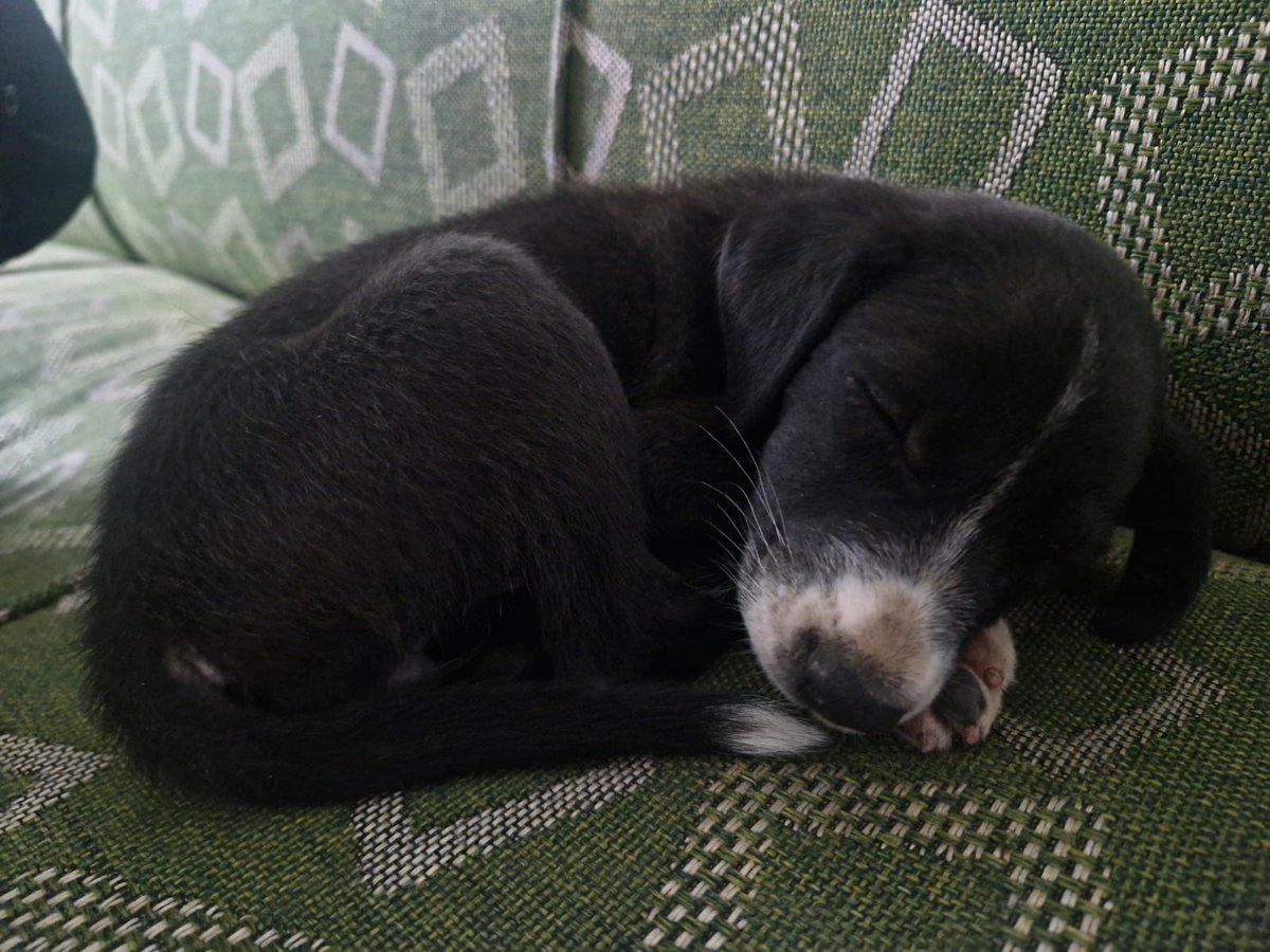 justabauni's tweet photo. ohh to build a place for these babies so that they can always sleep in peace 🥹 https://t.co/2GkaZMBEnP