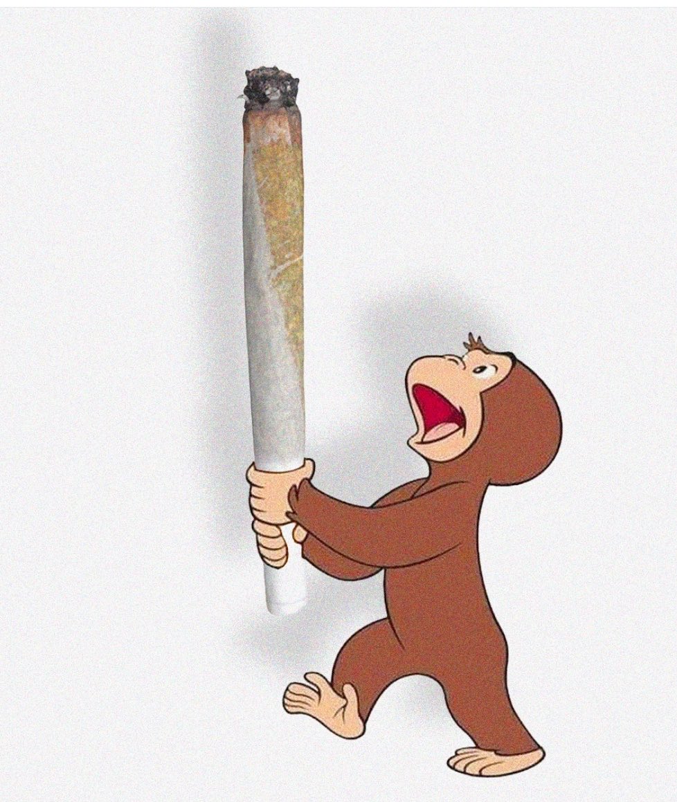 SrWeedSmoker's tweet photo. Nooo George https://t.co/cDDvfozxya