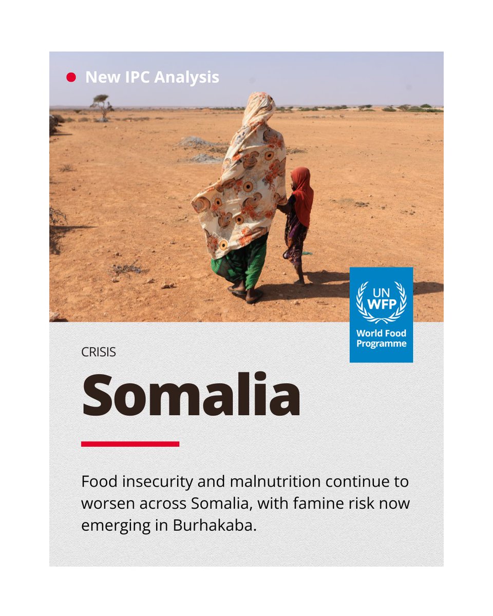 WFP Somalia tweet media