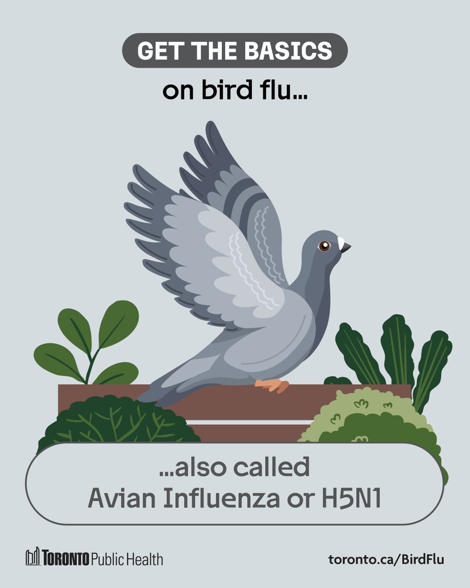 Toronto Public Health tweet media