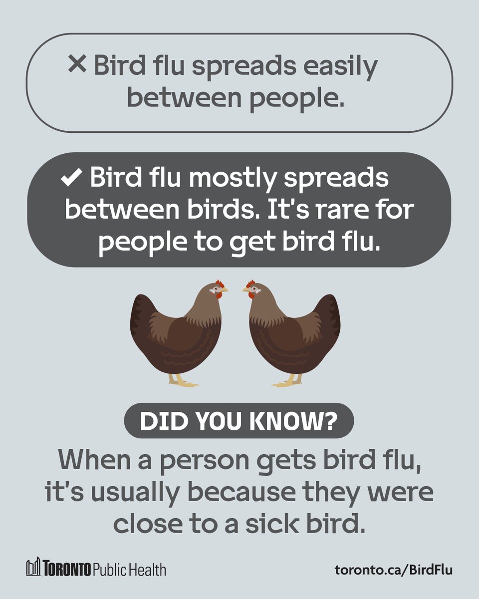 Toronto Public Health tweet media